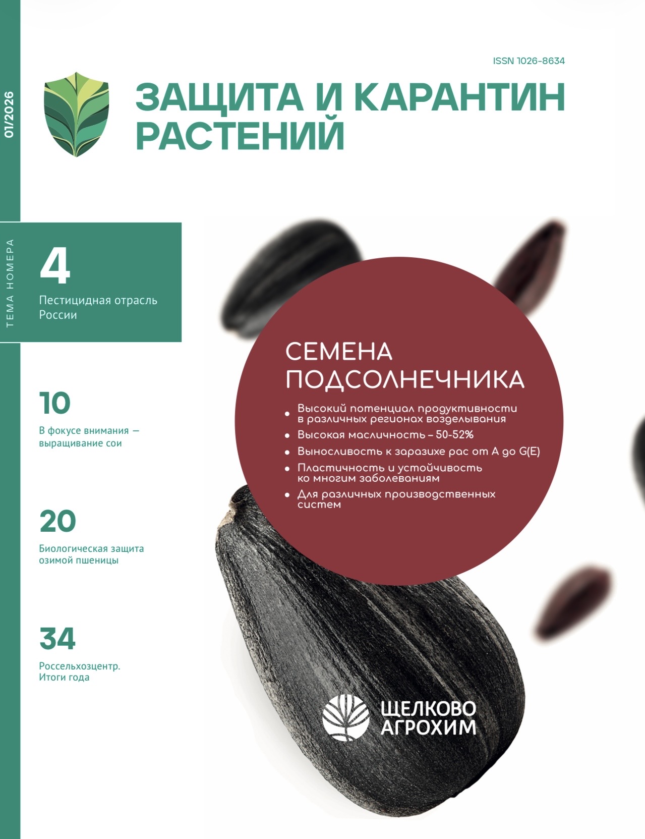 ������ � �������� ��������