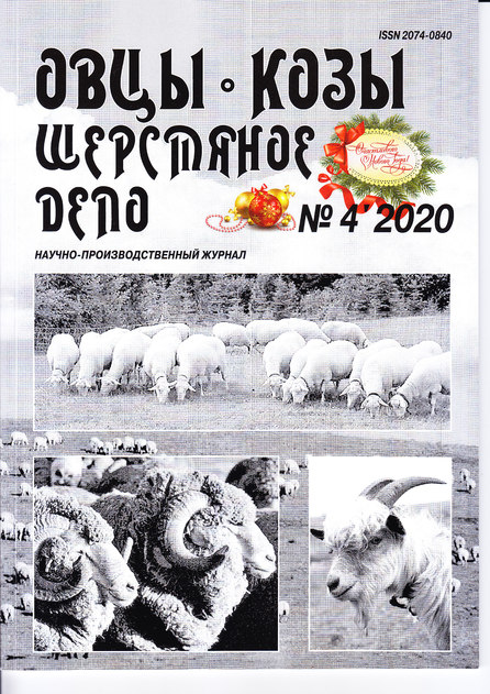 ����, ����, ��������� ����