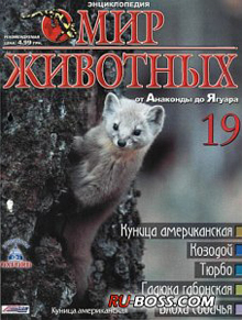 ��� �������� (��������)