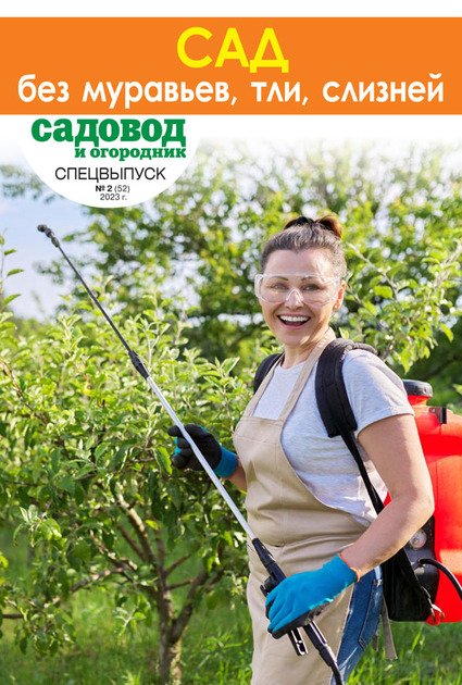 ������� � ���������. ���������� (������). �������� ������  /������/