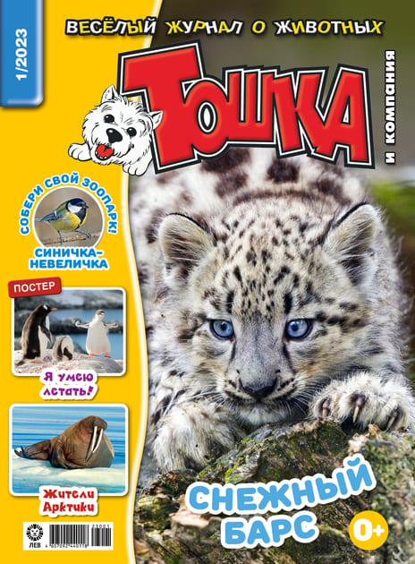 ����� � �������� (������). �������� ������